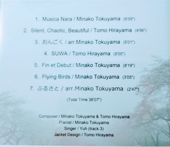 Musica Nara & Silent, Chaotic, Beautiful 2枚目の画像