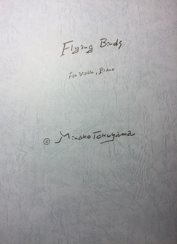 徳山美奈子「Flying Birds」バイオリンとピアノ二重奏版 1枚目の画像