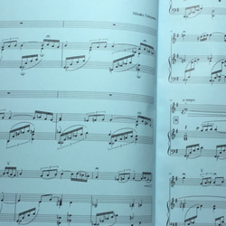 徳山美奈子「Flying Birds」バイオリンとピアノ二重奏版 2枚目の画像