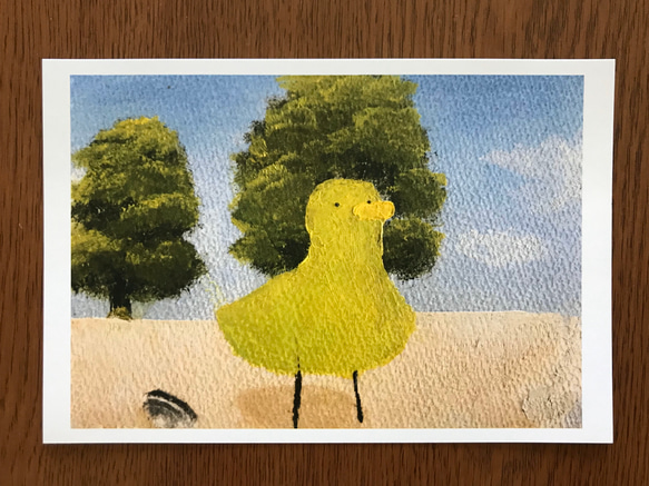 みどり色の鳥のポストカード(3枚セット) 1枚目の画像
