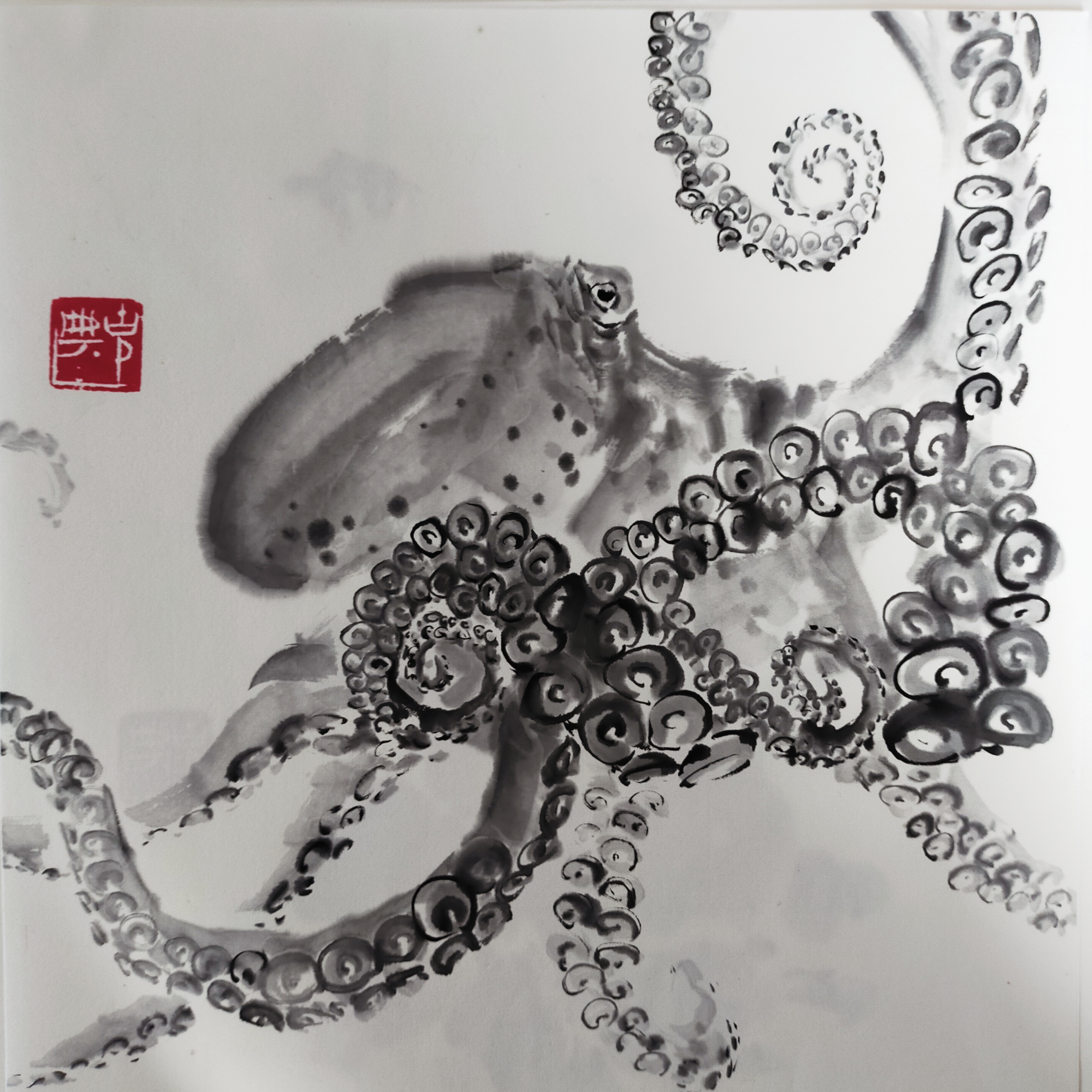 荒井克典 水墨画 35✖️35 蛸 絵画 KAMKAG 通販 12009654 荒井克典 水墨画 35✖️35 蛸 絵画 KAMKAG 通販 12009654