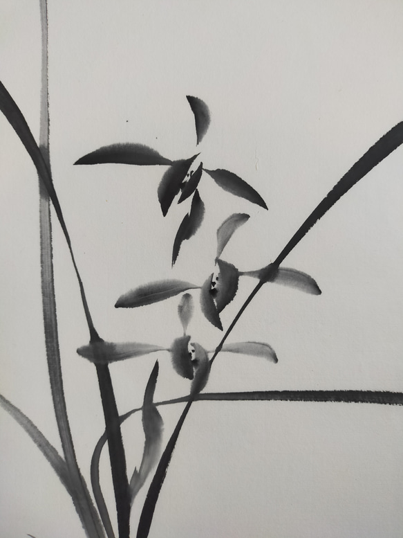 荒井克典 水墨画 原画 「春蘭」 絵画 KAMKAG 通販 9804011