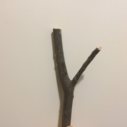 小枝のマグネットフック⑧ 2枚目の画像
