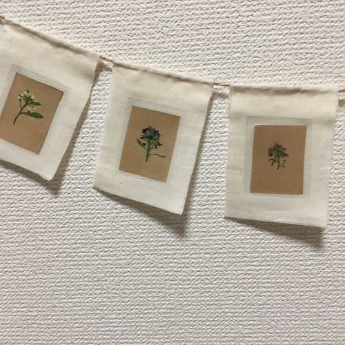 押し花　美品 虹色 夢色 かすみ草の押し花アート額 淡いピンクタイプ 押し花額