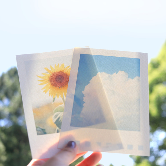 ポストカード*向日葵と夏空 5枚目の画像