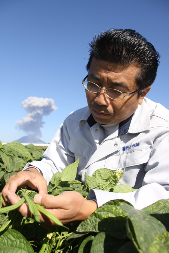 『TVで紹介』野菜に野菜！いんげんのドレ・ソース（ドレッシング） 8枚目の画像