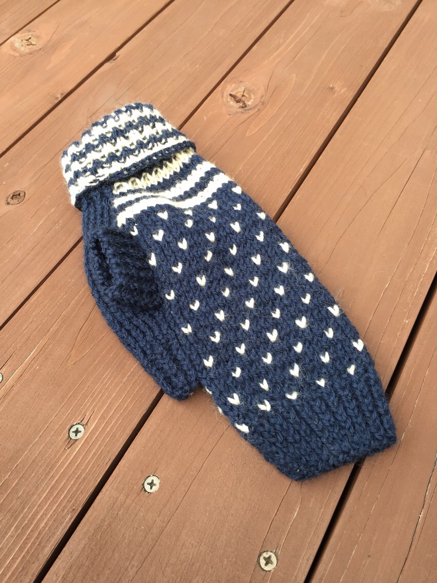 犬用セーター♡ネイビー✖︎アイボリー