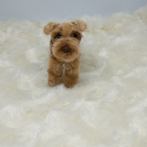 お買い得商店街 モールアート その他 ミニチュア ドール モールベア 犬 テリア 人形