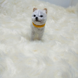 モールアート ポメラニアン白 モールベア ドール ミニチュア その他