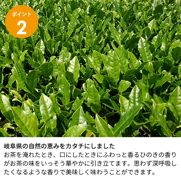 枡で飲む瑞草園の日本茶【枡香茶】 7枚目の画像