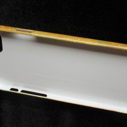 iPhone機型相應的硬盒：保羅·克利“千里光”A型 第3張的照片