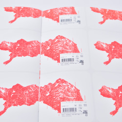 ZINE「肉する擬態地図」 7枚目の画像