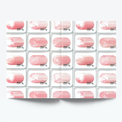 アートブックZINE「ハムの惑星」 ZINE・小冊子 Tomoyuki Koseko