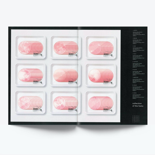 アートブックコレクション　zine希少　セット売り アートブックコレクション zine希少 セット売り