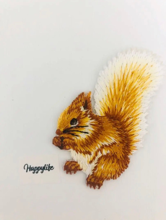 ピンクハウス 刺繍ワッペン リス りんご 1枚入 可愛い リス 刺繍