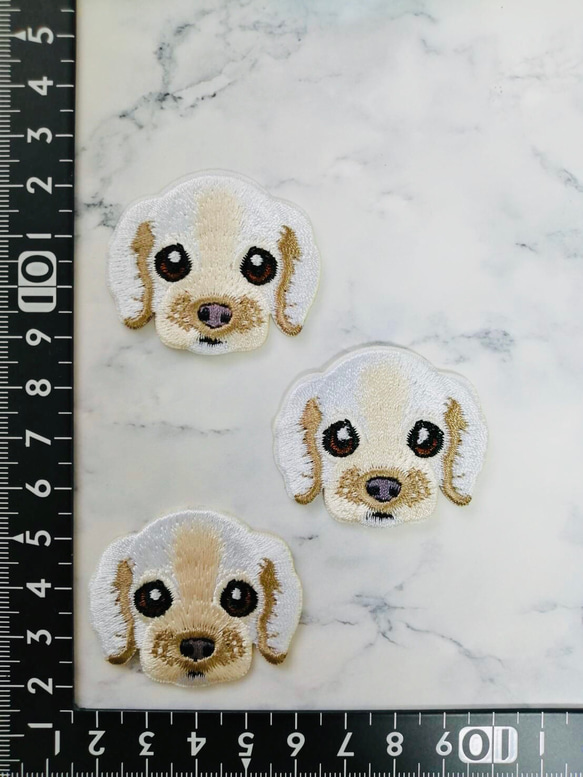 3枚入　犬　ワンちゃん刺繍アイロンワッペン　3枚セット 1枚目の画像