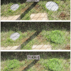 円形 直径164mm 雨水枡・汚水枡のフタ隠し リアル人工芝（高麗芝）芝生 7枚目の画像