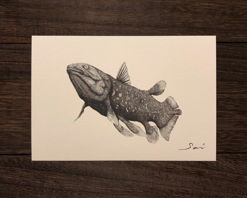 日本画「シーラカンス」 0_14d2ca56b8300a888e25e0874ad5
