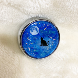 ピルケース　月と星空　黒猫　小物・アクセサリーケース 6枚目の画像