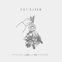 Dry bloom【ドライフラワースワッグセット】 3枚目の画像
