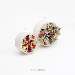 Dry bloom - case M【ドライフラワーセット】 7枚目の画像