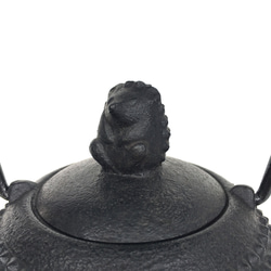 南部鉄器　鉄瓶　ハリネズミ　0.7ℓ 3枚目の画像