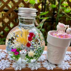 アップルグリーン 黄緑リンゴ ハーバリウム♡プレゼントギフトにも♡青