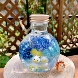 ハーバリウム 〜絵本の中の花畑〜 初夏 neko bottle150ml ハー
