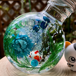 ハーバリウム〜癒しのお魚ちゃん❤️〜 ハーバリウム〜癒しのお魚ちゃん❤️〜