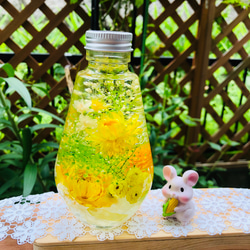 Amazon｜開運ハーバリウム 風水 カラー (イエロー 黄) バラ 丸瓶