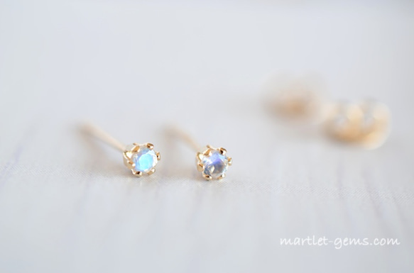 14kgf ロイヤルブルー ムーンストーン(2mm/6本爪)天然石ピアス 6月誕生石 6枚目の画像