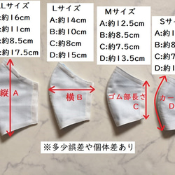 在庫処分均一SALE★果実＆チェック柄のコットン生地とWガーゼの立体マスク大人用、ワイヤー＆ポケット、送料無料 8枚目の画像