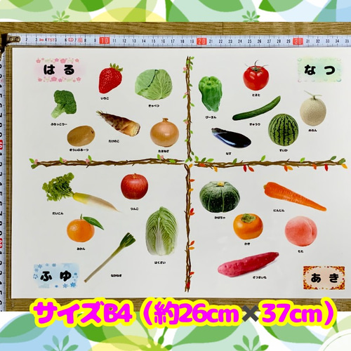 送料込み》食育教材『旬の野菜と果物』〜食育グッズ〜B4マグネット式 