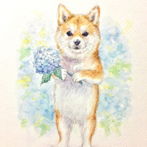 画家志望の青年が描いた　犬の水彩画 この水彩の犬の絵のイラストは、非常に詳細でスプレーペイント