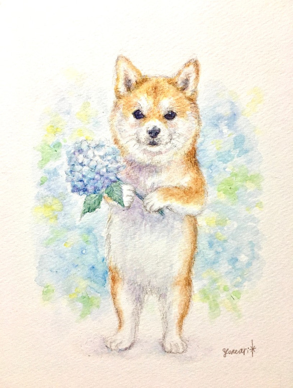 水彩画 「柴犬と紫陽花」 絵画 よねあり 通販 9804433｜Creema