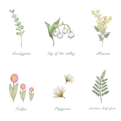 植物標本✴︎ 水彩画インテリアポスター 3枚目の画像