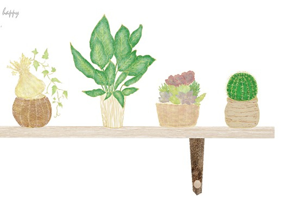サボテンと植物の飾り棚✴︎ 水彩画風インテリアポスター 3枚目の画像