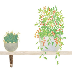 サボテンと植物の壁掛け飾り棚✴︎ 水彩画風インテリアポスター【縦】 2枚目の画像