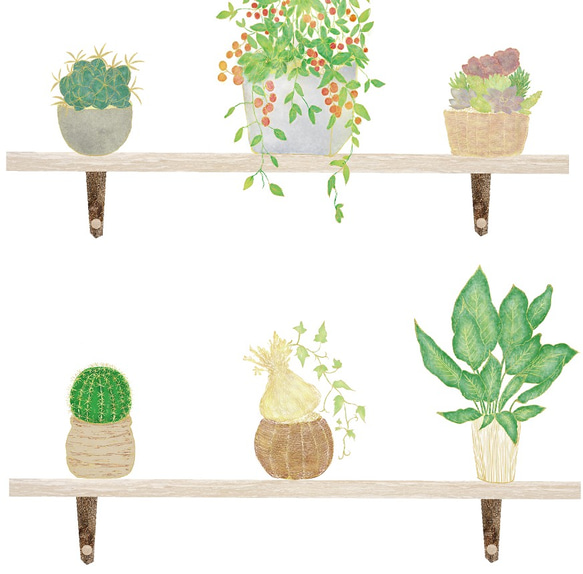 サボテンと植物の壁掛け飾り棚✴︎ 水彩画風インテリアポスター【縦】 3枚目の画像