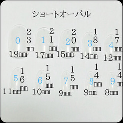 秋冬☆ブルーチーク☆ジェルネイルチップ 3枚目の画像