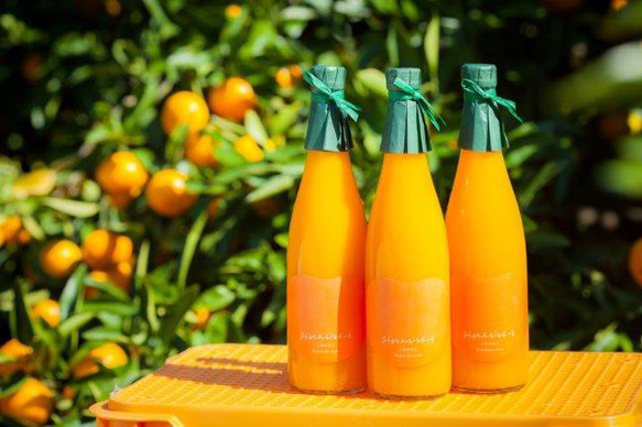 おれんじはーとのジュース 720ml 12本 果物（フルーツ） おれんじ 