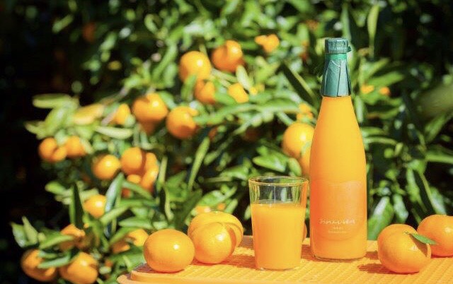 おれんじはーとのジュース　　300ml  １２本