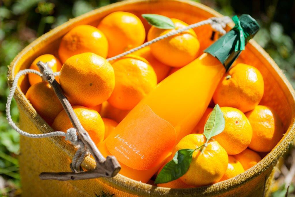 おれんじはーとのジュース　　300ml  １２本