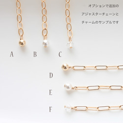 黃水晶 Maron 切割“One Natural Stone Skinny Necklace” 14KGF / 銀 925 / 第8張的照片