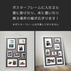 ⑤ 写真が飾れるポスター「シャシンカベのポスター」A1サイズ ☆送料無料☆ 10枚目の画像