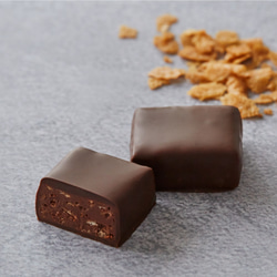 【プチギフトにおすすめ】プラリネチョコレート2種食べ比べセット｜4袋入り｜個包装 3枚目の画像