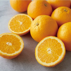 オレンジプラリネチョコレート｜2粒入 14g/粒｜個包装 オランジェット オレンジピール好きにおすすめ バレンタイン 4枚目の画像