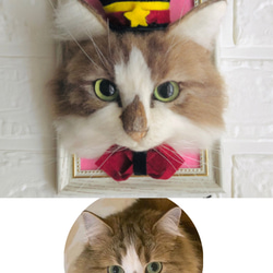 【オーダーメイド】等身大・羊毛リアル猫　顔パネル 〜シンプルスタイル〜 4枚目の画像
