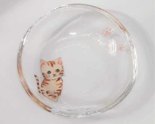 豆皿 「茶トラ」京絵付けガラス 京都 京焼 清水焼 猫 ねこ トラ猫 とら