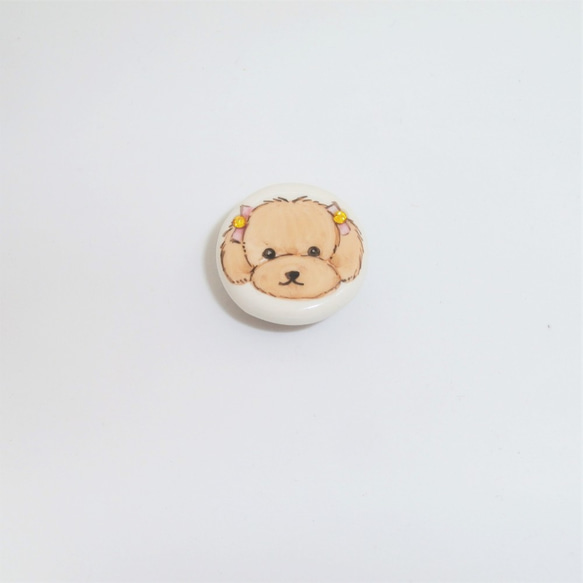 ブローチ「子犬くしくしセット」（マグネット式）京焼・清水焼　京都　伝統工芸品　清水焼　シーズー　ヨークシャー　トイプー 3枚目の画像